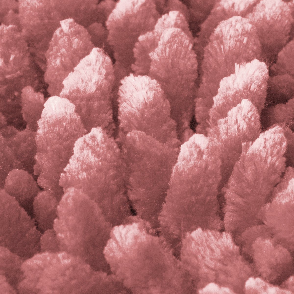 Chenille Noodle Bathroom Mat Set Pink - Detail